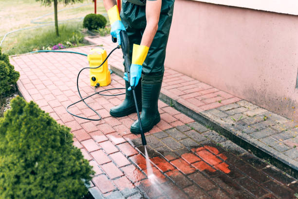Best Playground Equipment Cleaning  in Sloan, IA